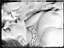 embw.JPG: 0120