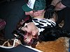 DSCN0737.JPG