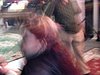 DSCN0746.JPG
