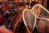 IMG_9517.JPG
