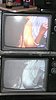 L1000280.JPG