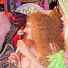 DSCN0864.JPG