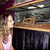 IMG_0001.JPG