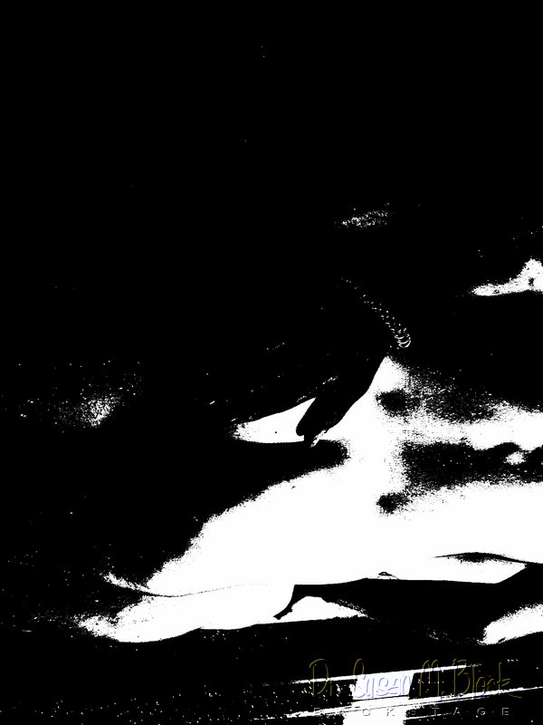 wag 071.jpg
