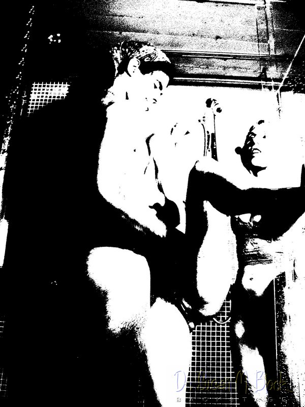 wag 084.jpg