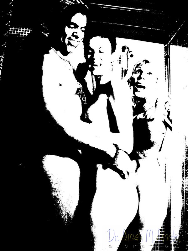 wag 090.jpg